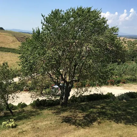 Terre Di Musignano * Canino