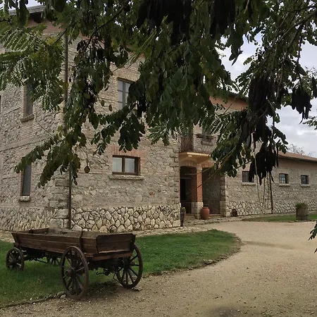 Terre Di Musignano * Canino